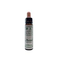Ainsworths Mustard Bach 10 Milliliter - thumbnail