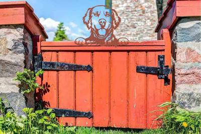 Kiekeboe dieren roestkleurig hond Sam Kiekeboe dieren roestkleurig hond Sam