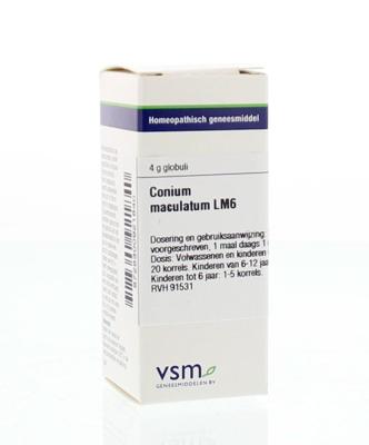 Conium maculatum LM6 Conium maculatum LM6