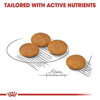 Royal Canin Mini Dermacomfort hondenvoer 8 kg - thumbnail