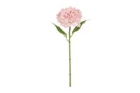 Decostar zijdebloem Hydrangea Aletta 40 cm roze - thumbnail