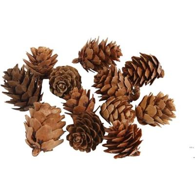 Creativ Company Larikskegels, 12st. Creativ Company Larikskegels, 12st.