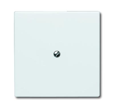 ABB 2138-34 Blindafdekking Afdekking Wit, Zuiver wit (RAL 9010) 1 stuk(s)