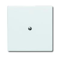 ABB 2138-34 Blindafdekking Afdekking Wit, Zuiver wit (RAL 9010) 1 stuk(s) - thumbnail