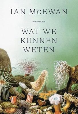Wat we kunnen weten (Paperback)