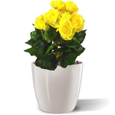 Begonia kunstplant 20cm - geel