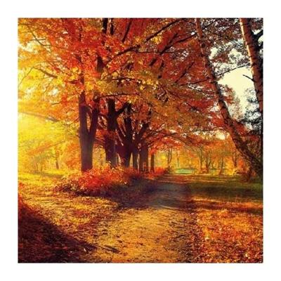 Ambiente Servetten herfst park 33cm 20st