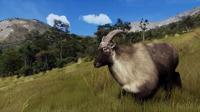Way of the Hunter Wild Expeditions - thumbnail