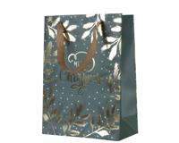 Giftbag papier l12b30h42 cm groen/goud Decoris - Decoris - thumbnail