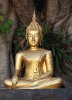 Alexsar Art Tuinschilderij boedhha goud 70x50cm - thumbnail
