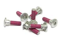 TRW bouten set screw set 7pcs. m8x1,25 - thumbnail