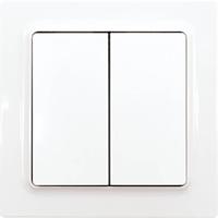 Eltako F4T55EOR-wg Toets Draadloos 4-kanaals Opbouw (op muur) Bereik max. (in het vrije veld) 30 m - thumbnail