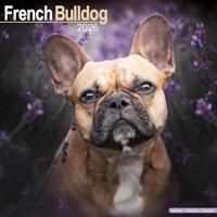 French Bulldog Calendar 2026 Square Dog Breed Wall Calendar - 16 Month - thumbnail