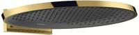Hansgrohe Hoofddouche Rainfinity PowderRain 360 1jet Met Douche-arm Gepolijst Goud - thumbnail