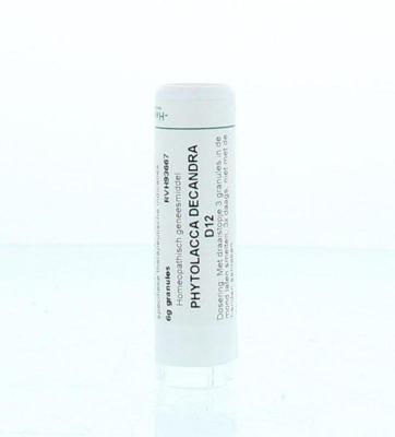 Homeoden Heel Phytolacca decandra D12 6 Gram Homeoden Heel Phytolacca decandra D12 6 Gram