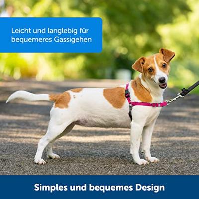 PETSAFE EASY WALK ANTI-TREK TUIG ZWART
