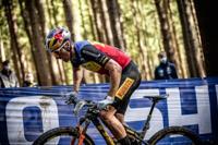 PIRELLI 61-622 scorpion xc rc team edition yellow 4022200 - thumbnail