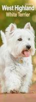 West Highland White Terrier Kalender 2026 Slimline - thumbnail