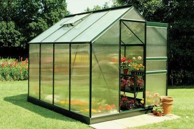 Tuinkas Popular 86 klassiek groen - 4 mm polycarbonaat - 193x257 cm- - Polycarbonaat- Royal Well