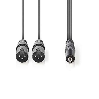 Nedis Gebalanceerde Audiokabel | 2x XLR 3-Pins Male naar 3,5 mm Male | 1.5 m | 1 stuks - COTH15310GY15 COTH15310GY15 Nedis Gebalanceerde Audiokabel | 2x XLR 3-Pins Male naar 3,5 mm Male | 1.5 m | 1 stuks - COTH15310GY15 COTH15310GY15