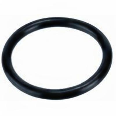 Europond EPDM O-ring 15,5x2,6mm voor Vijverkoppelingen - UV/Ozonbestendig - Duurzaam Rubber