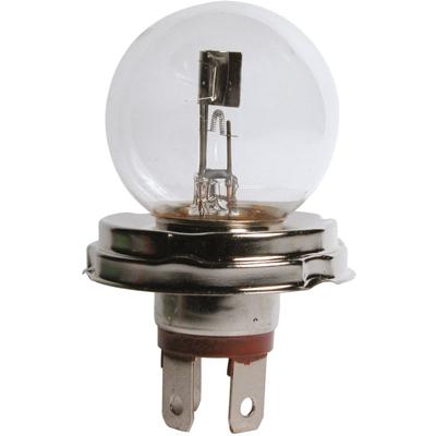 Philips Autolamp Vision R2 - 12V - 40/45W - Halogeenlamp - P45T - Wit
