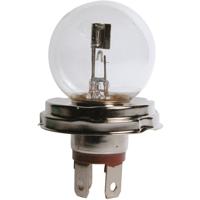 Philips Autolamp Vision R2 - 12V - 40/45W - Halogeenlamp - P45T - Wit - thumbnail