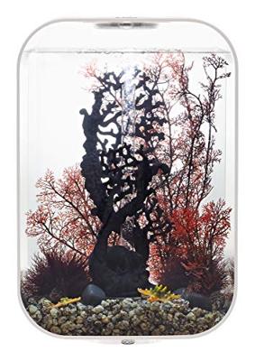 BiOrb zeester set 3 natuur aquarium decoratie BiOrb zeester set 3 natuur aquarium decoratie