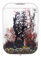 BiOrb zeester set 3 natuur aquarium decoratie - thumbnail