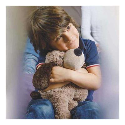 Warmies magnetronknuffel Hond H30cm