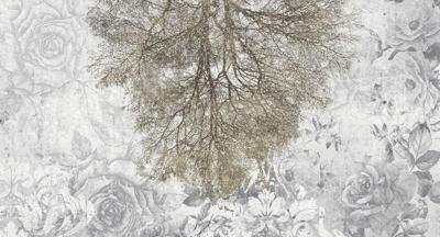 Muance Muance Fotobehang Expansion theory - MU12033