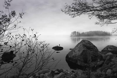 Schilderij - Meer, steen en bos, Zwart-Wit, 2 maten, Premium print