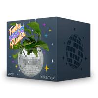 Funky Disco Planter - Disco plantenbak 13x18x20cm - 2L - thumbnail