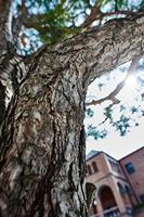 Samyang 20mm F/1.8 ED ASP UMC Canon M - thumbnail