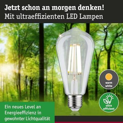 Paulmann 29122 LED-lamp Energielabel A (A - G) E27 4 W Warmwit (Ø x h) 64 mm x 140 mm 1 stuk(s) Paulmann 29122 LED-lamp Energielabel A (A - G) E27 4 W Warmwit (Ø x h) 64 mm x 140 mm 1 stuk(s)