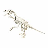 Clementoni wetenschap & spel archeospel velociraptor - thumbnail