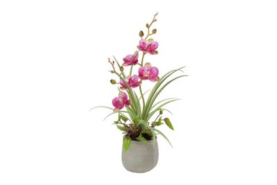 Decostar Countryfield Kunstplant Phalenopsis mini w/pot arrangement