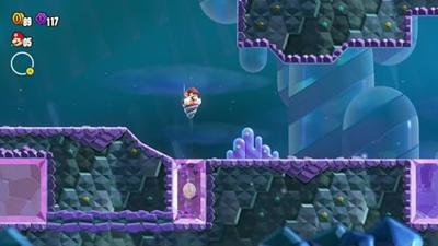 Nintendo Switch Super Mario Bros. Wonder