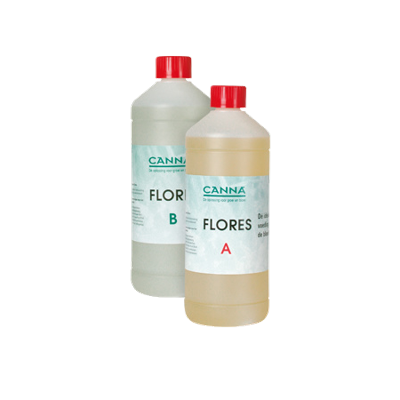 Canna Canna Hydro Flores