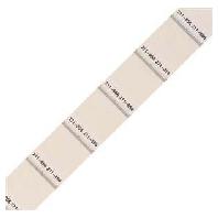 WAGO 211-856 Etiket voor thermotransferbedrukking 22 x 15 mm Kleur van het label: Wit Aantal etiketten: 1000
