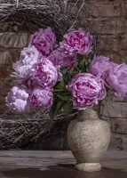 Alexsar Art Tuinschilderij pioenrozen 70x50cm - thumbnail