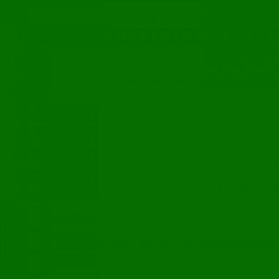 Fotokarton 25vel 70x50cm grasgroen