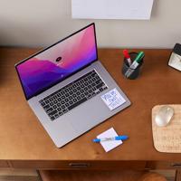 Permanente markeerstift Sharpie Magenta 1,4 mm (12 Stuks) - thumbnail