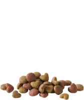 Happy Life Adult met zalm hondenvoer 15 kg - thumbnail