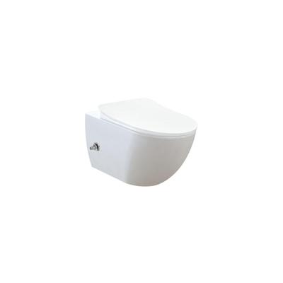 Creavit Hangend Toilet - 35.3x51cm - bidetsproeier koud water - spoelrandloos - wit FE322-34CB00E-0003