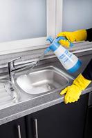 Gloria Haus und Garten 000656.0000 FoamMaster FM 10 FLEX Drukspuit 1 l - thumbnail