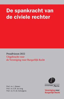 De spankracht van de civiele rechter (Paperback)