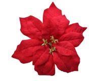 Poinsettia plastic d16h3 cm rood kerst Everlands - Everlands - thumbnail