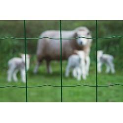 Nature gaas rechthoekig 10 x 1 meter