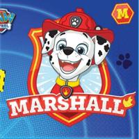 Paw Patrol servetten , 16st. - thumbnail